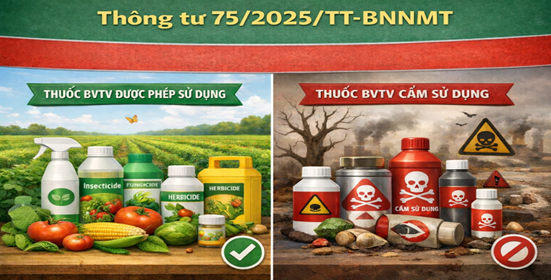Danh mục thuốc bảo vệ thực vật được phép sử dụng và Danh mục thuốc bảo vệ thực vật cấm sử dụng tại Việt Nam kể từ ngày 10/02/2026